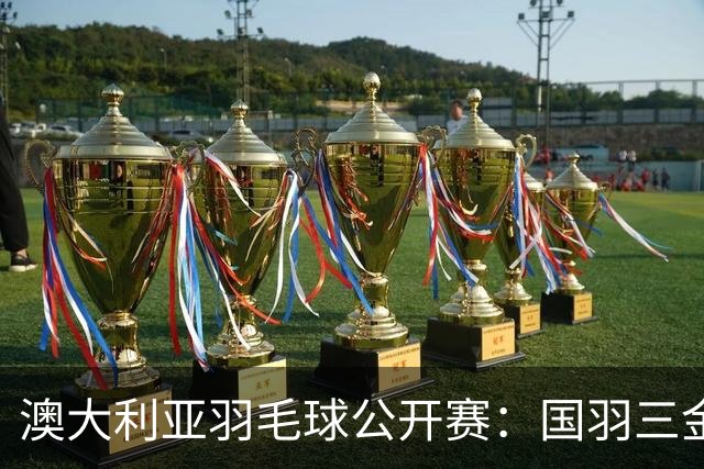 澳大利亚羽毛球公开赛：国羽三金两银收官